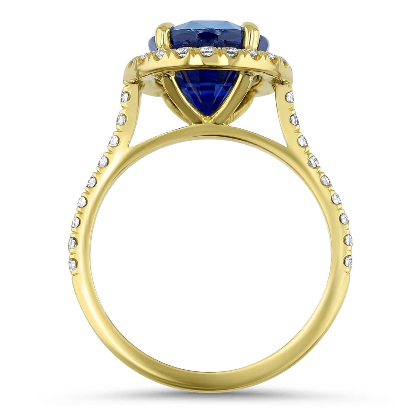 Oval Sapphire Halo Dress Ring
