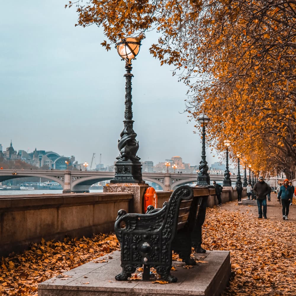 The Art of Autumn in London: Exhibitions & Evenings