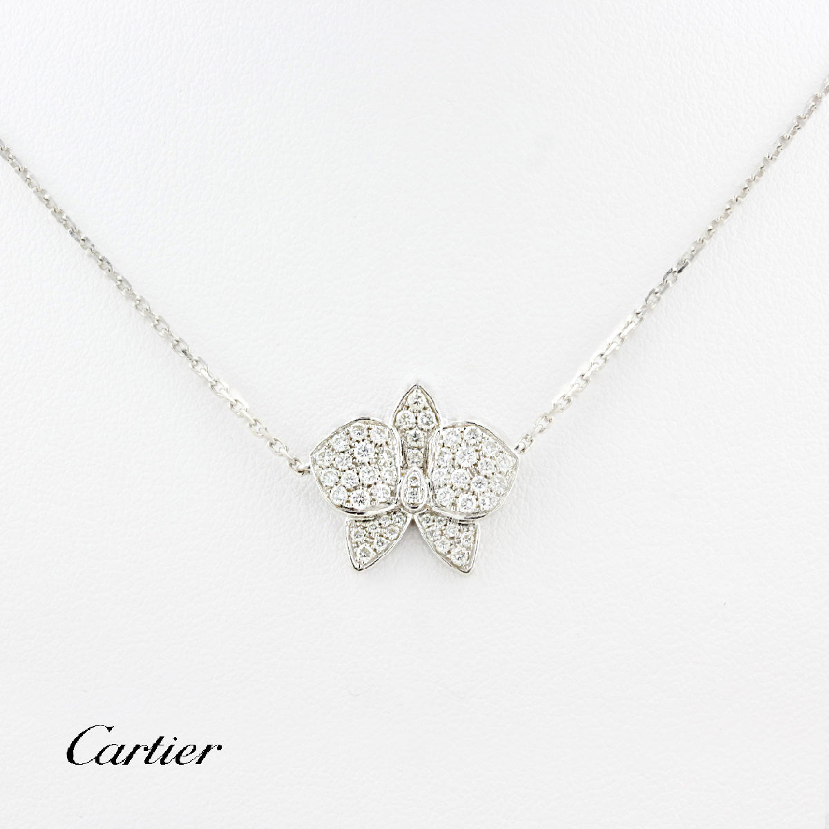 Cartier Caresse D&