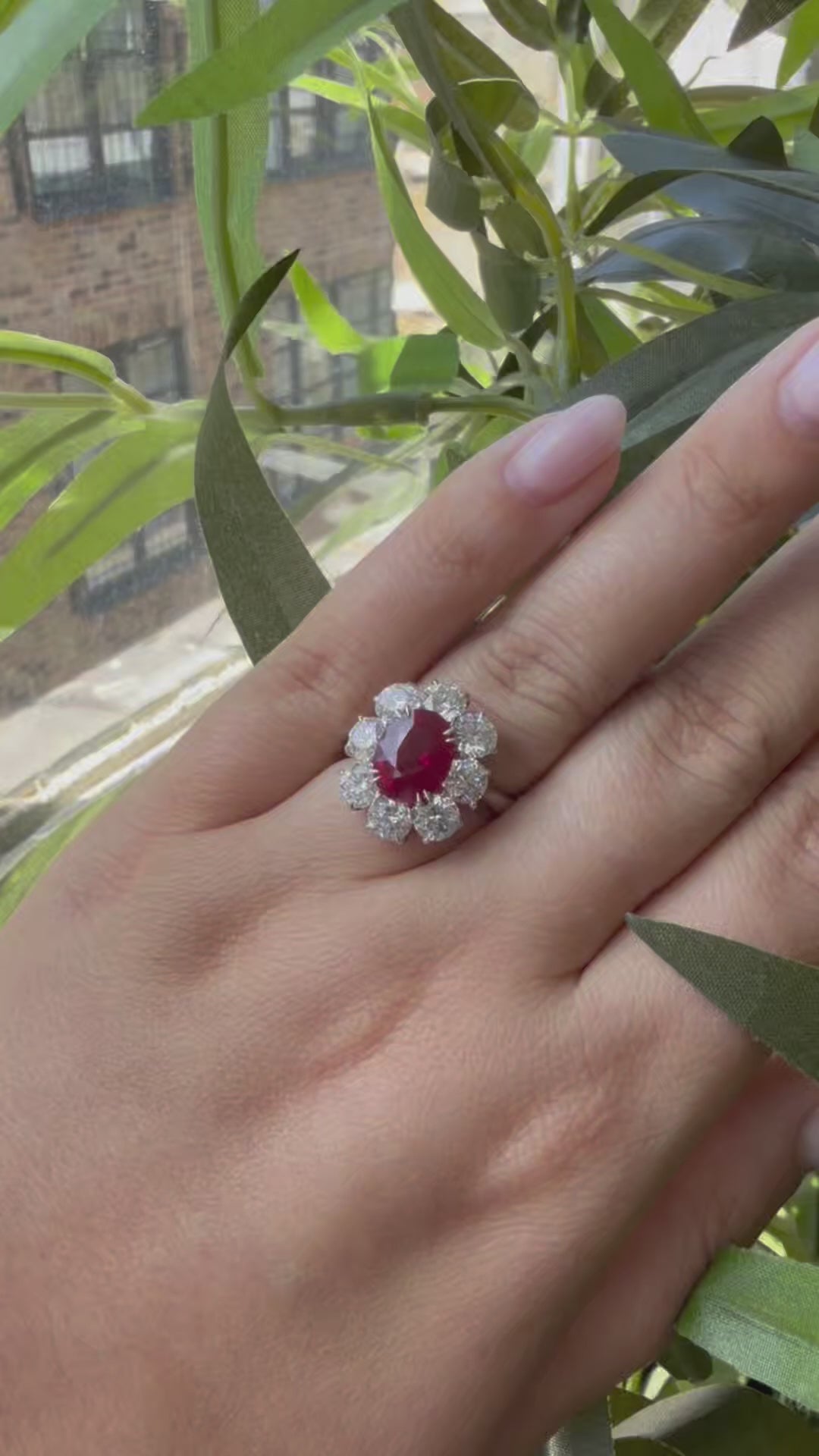 Rare Certified Burma Ruby and Diamond Cluster Ring